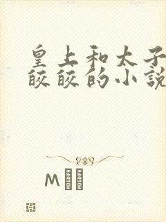 皇上和太子妃沈皎皎的小说免费