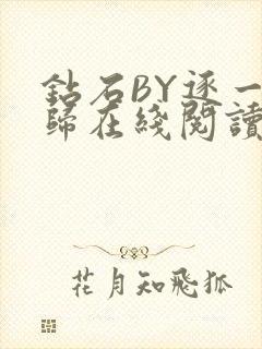 钻石BY逐一而归在线阅读