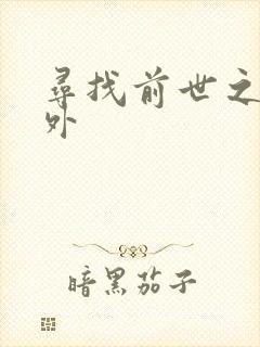 寻找前世之旅番外