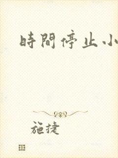 时间停止小说