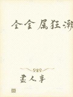 全金属狂潮小说