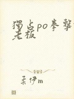 独占po拳击馆老板