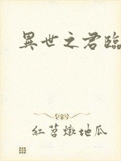 异世之君临天下