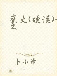 孽火(硬汉)今又