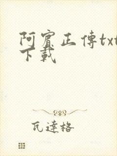 阿宾正传txt下载