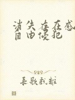 消失存在感消失自由侵犯