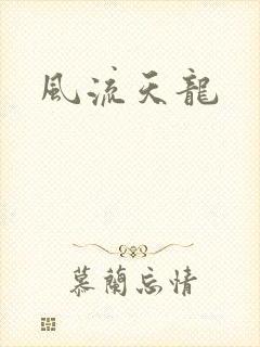 风流天龙
