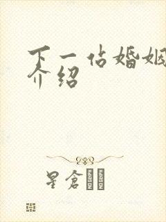 下一站婚姻剧情介绍