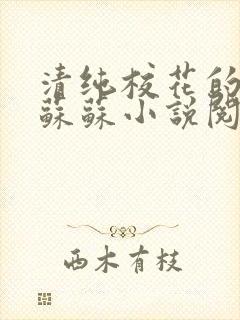 清纯校花的日常苏苏小说阅读全文