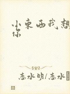 小东西我想弄坏你