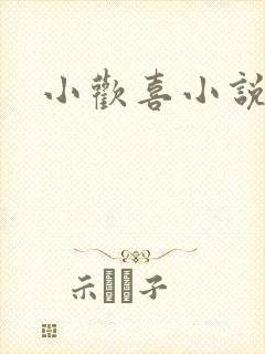 小欢喜小说