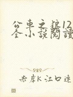公车之狼12集全小说阅读