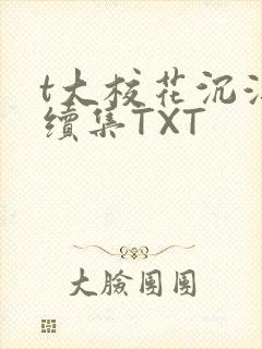 t大校花沉浮录续集TXT