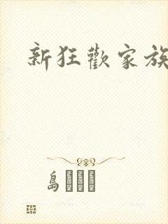 新狂欢家族小说