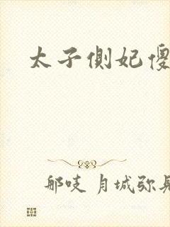 太子侧妃傻乎乎