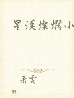星汉灿烂小说