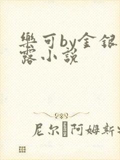 乐可by金银花露小说