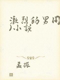 激烈的男同(h)小说