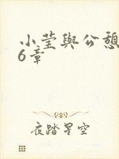 小莹与公憩第26章