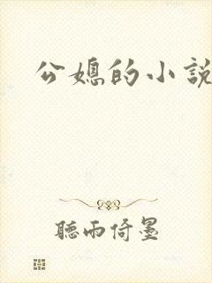 公媳的小说