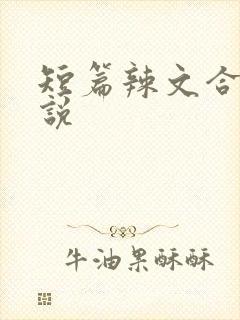 短篇辣文合集小说