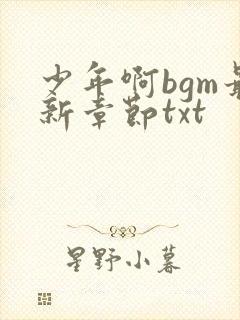 少年啊bgm最新章节txt