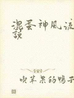 混蛋神风流史小说