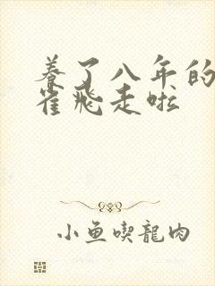 养了八年的金丝雀飞走啦