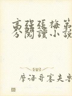 高强张梅第1部分阅读小说