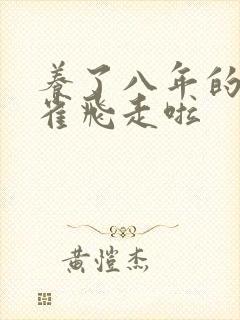 养了八年的金丝雀飞走啦