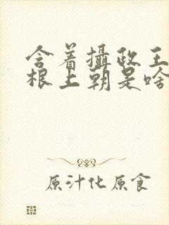 含着摄政王的紫根上朝是啥小说