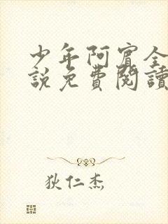 少年阿宾全文小说免费阅读笔趣阁