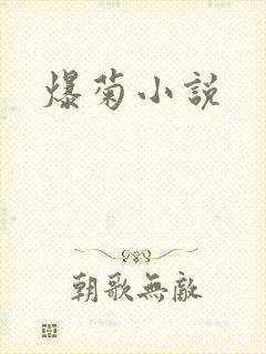 爆菊小说