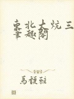 东北大炕三部曲笔趣阁