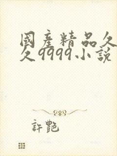 国产精品久久久久9999小说