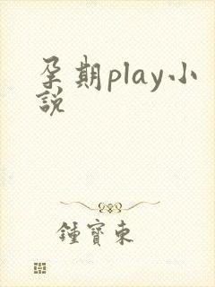 孕期play小说