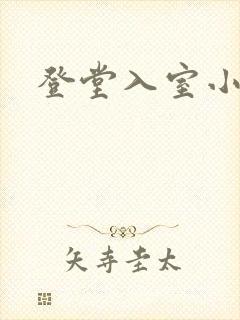 登堂入室小说