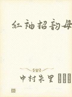 红袖招韵母攻略