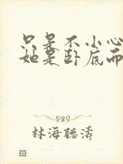 只是不小心发现她是卧底而已