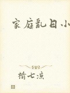 家庭乱日小说