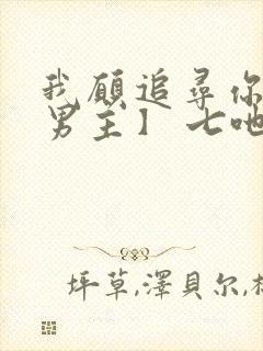 我愿追寻你【双男主】 七吔