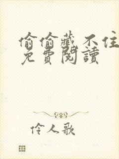 偷偷藏不住小说免费阅读