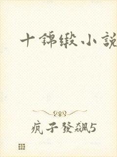 十锦缎小说