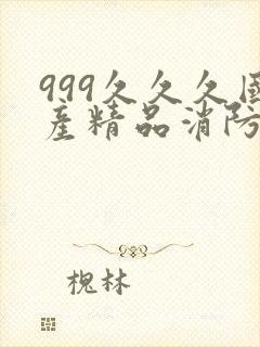 999久久久国产精品消防器材