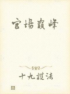官场巅峰