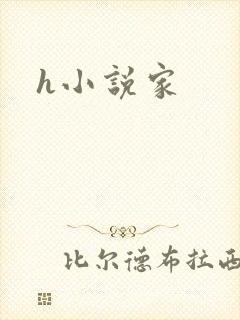 h小说家