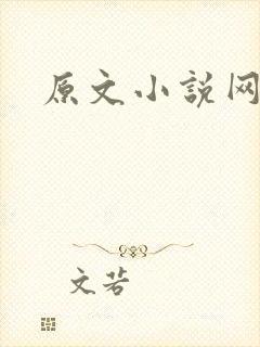 原文小说网