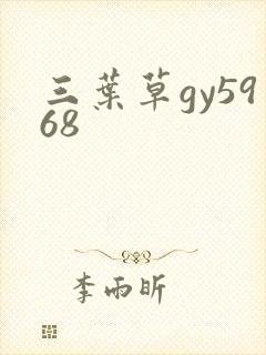 三叶草gy5968
