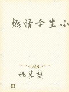 燃情今生小说