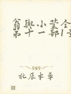 翁与小莹全目录第十一部1章